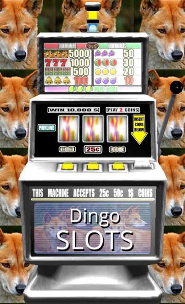 Dingo Slot