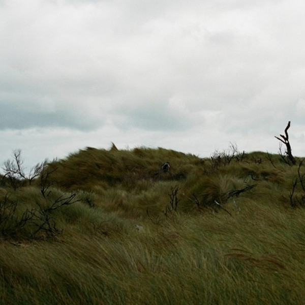 Pretender single artwork