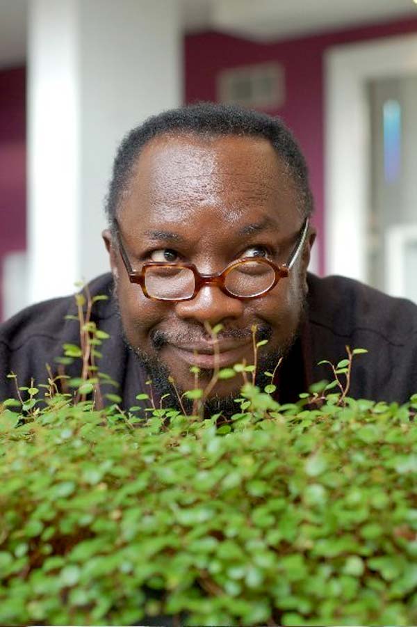 Mad-Professor.2-01-15