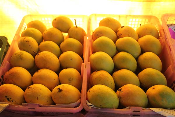 Mangoes