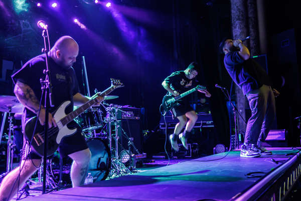 Justice For The Damned