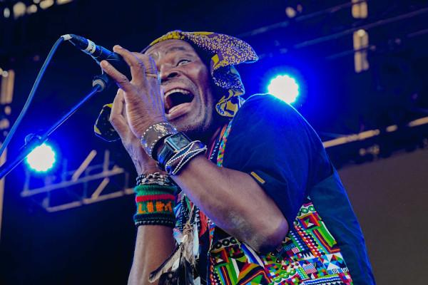 WITCH credit Jack Fenby